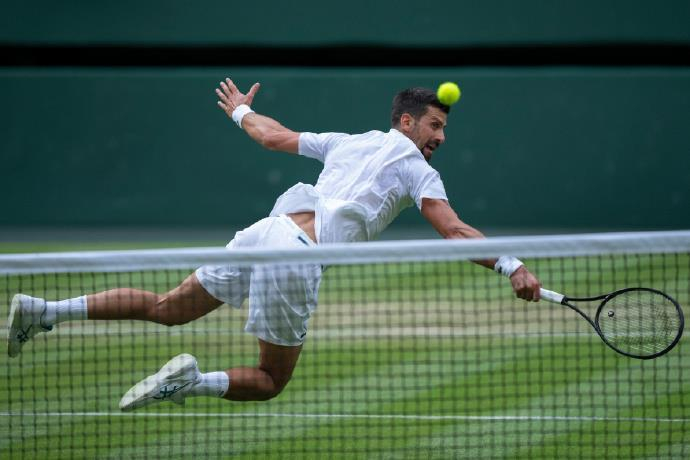 开云体育登录-温网轻取拉沃尔杯，德约科维奇高光表现