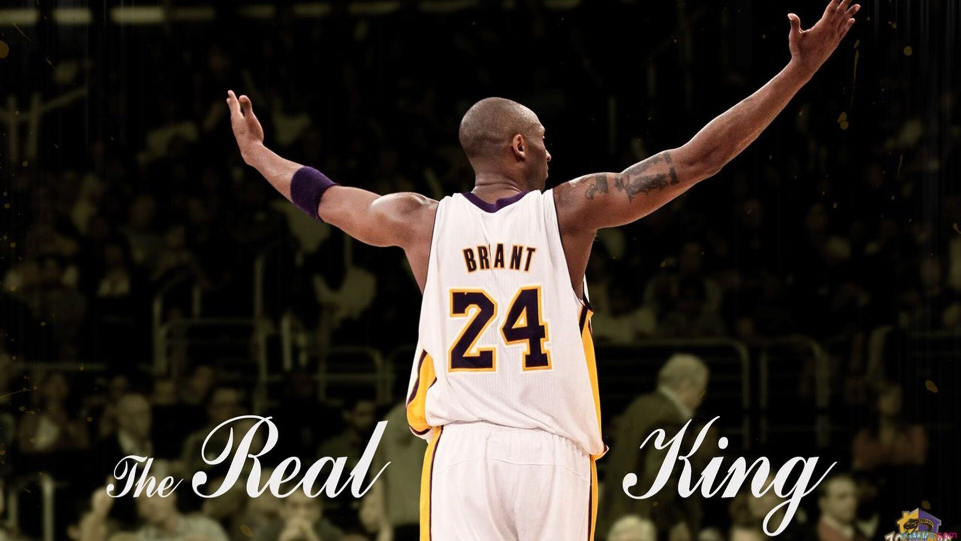 锡安末节封神，浙江队决胜局力克广东队挺进总决赛